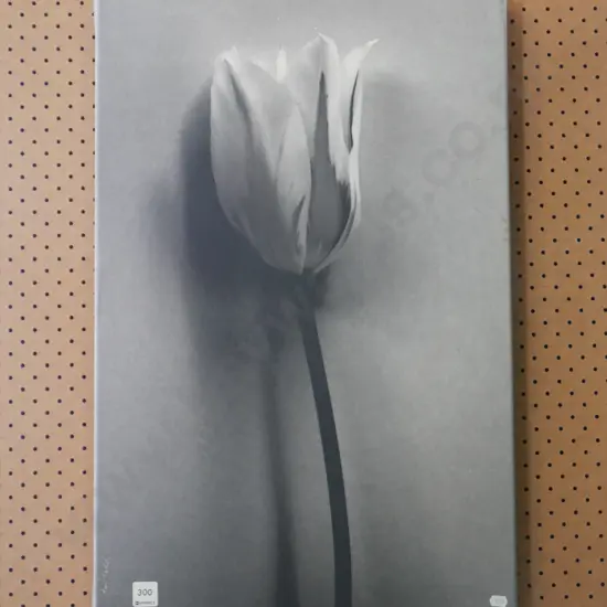 tulip print on canvas