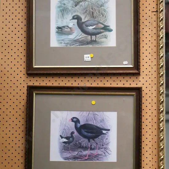 2x framed bird prints - yellow print