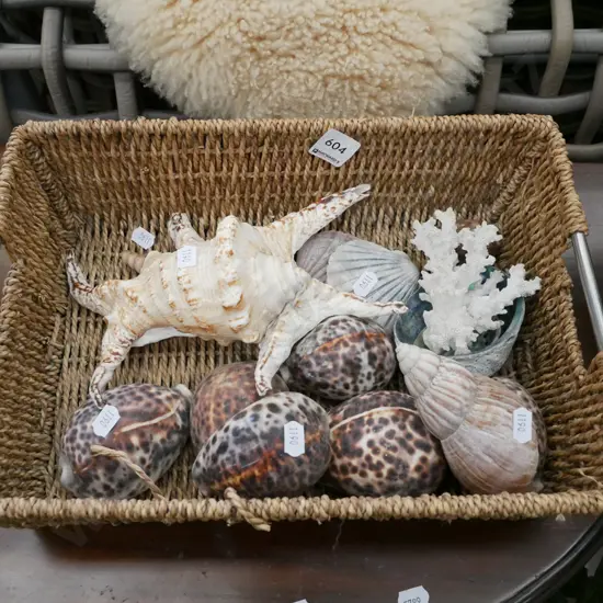 seagrass tray and seashell
