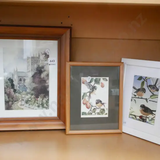 3x framed prints - bird and castles