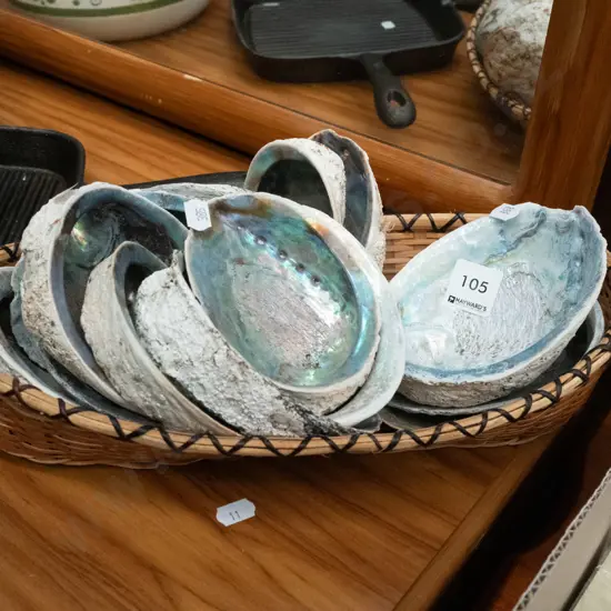 cane tray and various paua shells