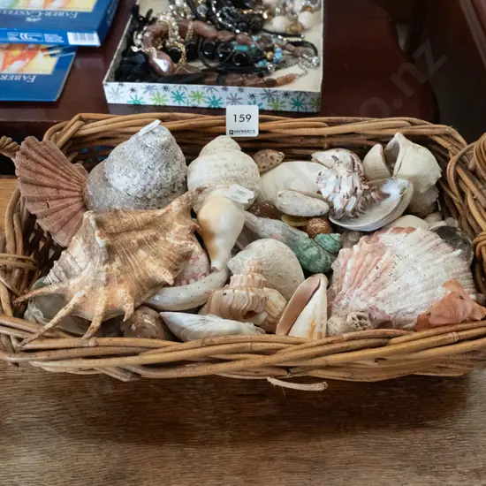 cane basket of shells