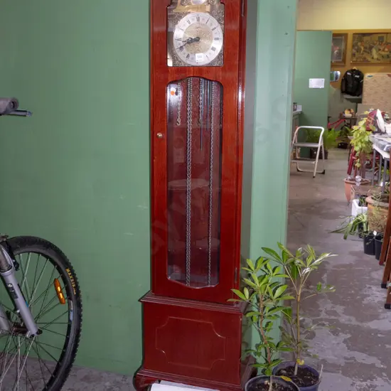 Tempest Fugit long cased pendulum clock - needs attention H-1570 