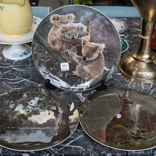 3x Royal Doulton Australian picture plates