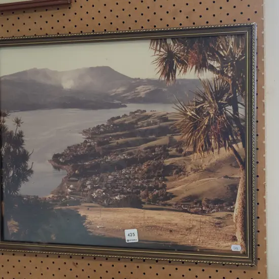 framed photo print - Macandrew Bay