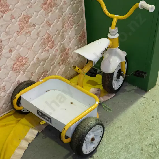 child's Triang trike