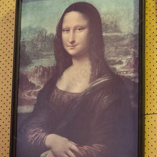 framed Michelangelo print