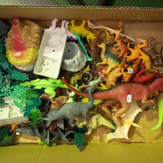 box; plastic toy dinosaurs