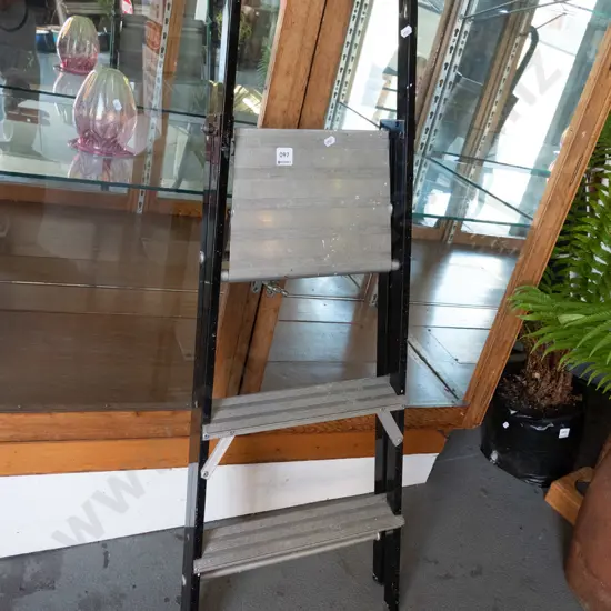 2 step painters ladder