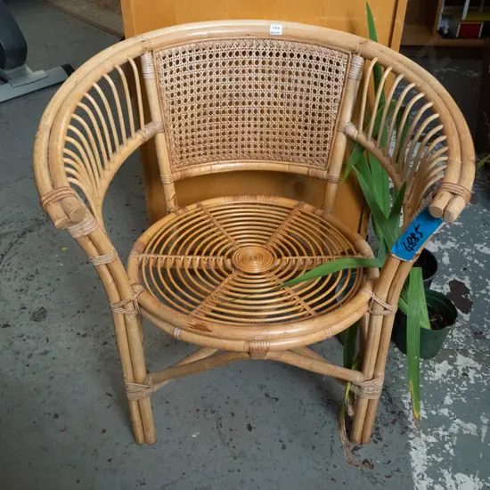 cane tub chair