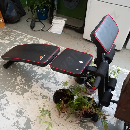 Ape style exercise bench