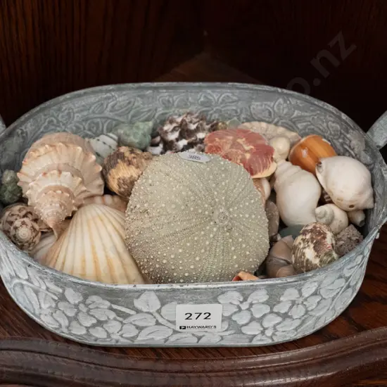small metal tray & sea shells