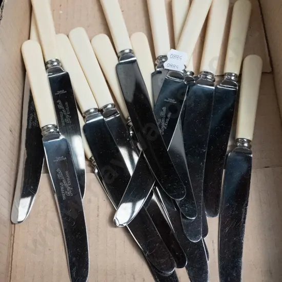 box of bone handled knives