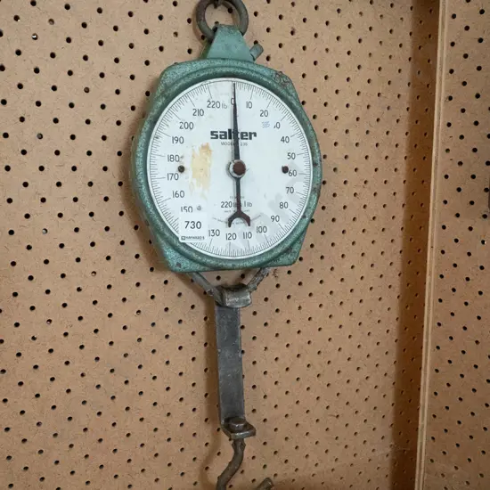 Salter spring scales