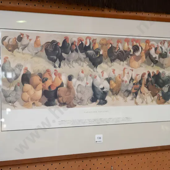 framed print - barn yard poultry