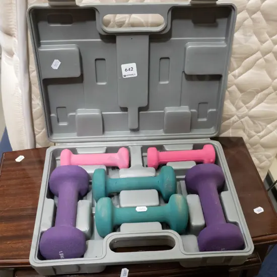 exercycle dumbell weights