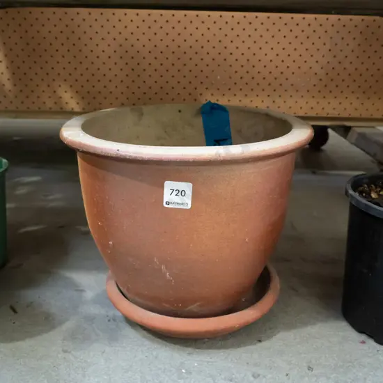 terracotta garden planter