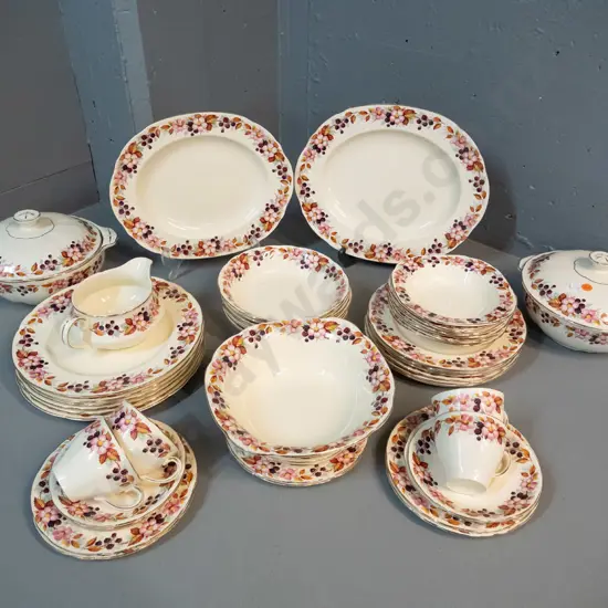 assorted Alfred Meakin Blackberry pattern dinnerware including 2 ashetts, 2 lidded vegetables, etc.