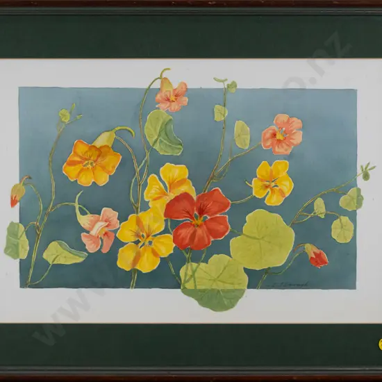 D Darragh - framed watercolour - nasturtiums H - 250 W - 370
