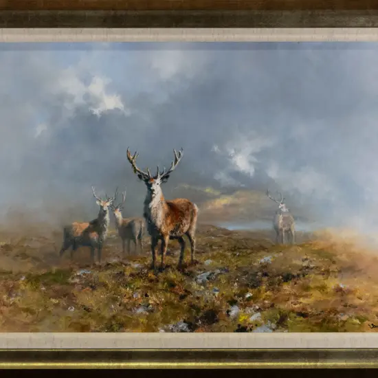 framed David Shepherd ltd print 1/5 "Highland stag" H-390 W-600