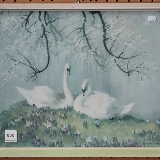 framed Vernon Ward  print - swans H-285 W-380