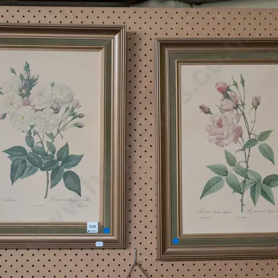 2 framed botanical prints
