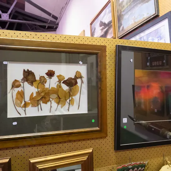 framed dry flowers and framed soccer ball photo - green dots