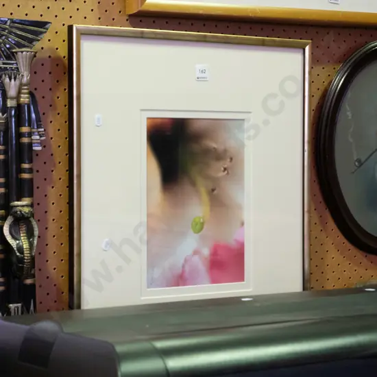 framed photo - flower stamens