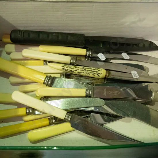 box of bone-handled and other knives