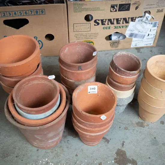 numerous terracotta garden planters