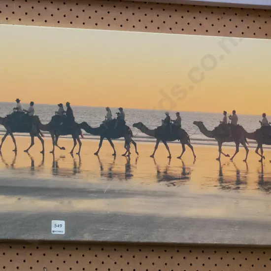 photo print - camels on beach