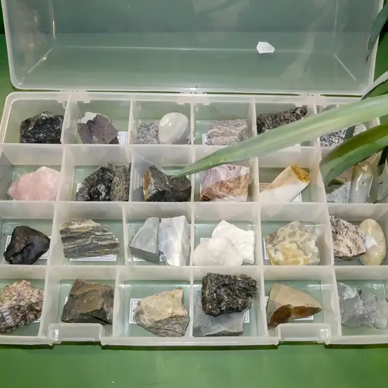 plastic organiser of various stone samples