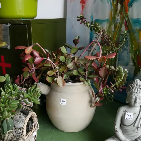 studio pottery planter and succulents