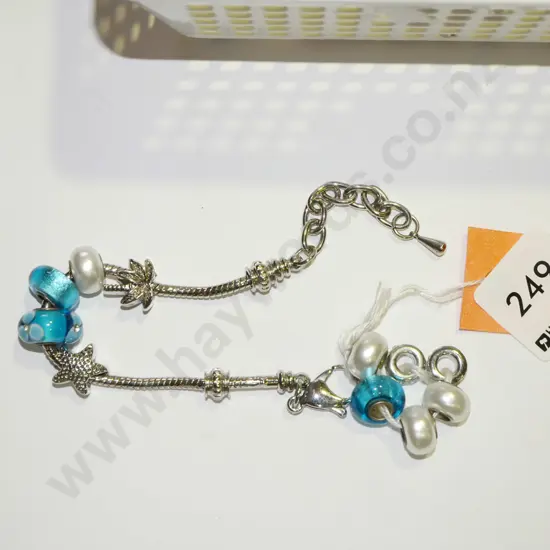 charm bracelet and charms