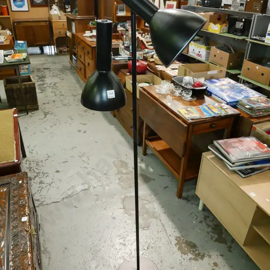 twin bulb standard lamp