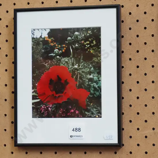 framed photograph - poppies