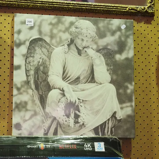 print on canvas - stone angel