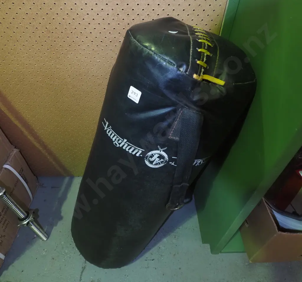 Vaughan punching bag Image 1++