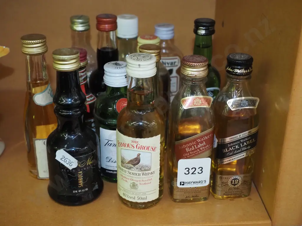 spirit minatures Image 1++