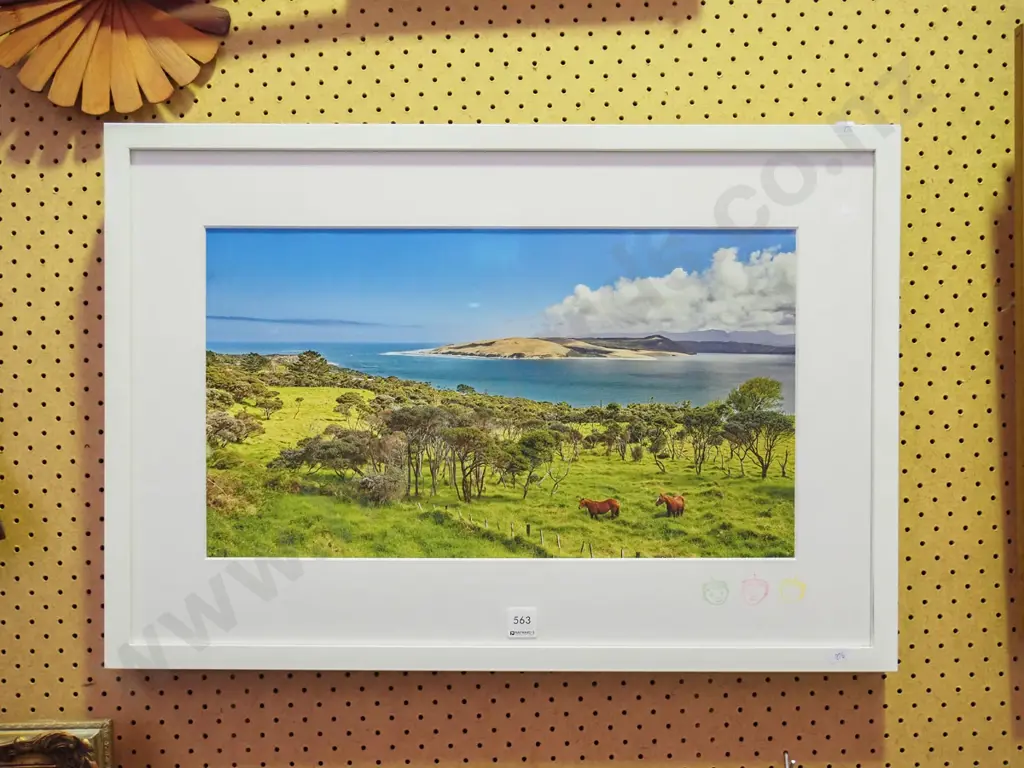 framed photo print - horses in field overlooking estuary Image 1++