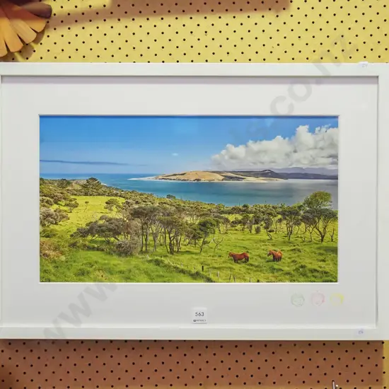 framed photo print - horses in field overlooking estuary