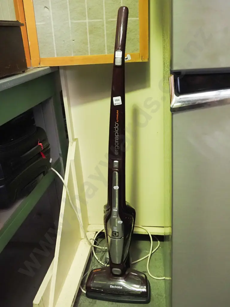 Ergo Rapido stick vacuum Image 1++