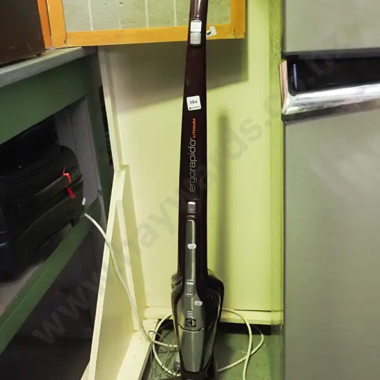 Ergo Rapido stick vacuum