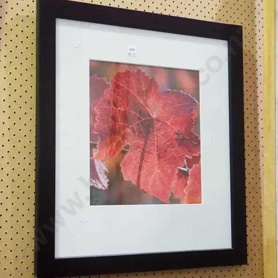 framed photograph - grape leaf