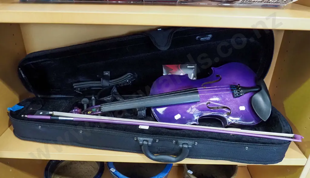 purple violin and case Image 1++