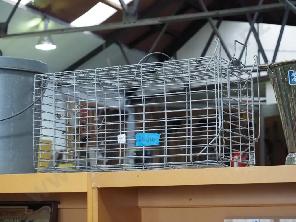 galvanised wire trap Image 1++