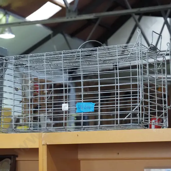 galvanised wire trap