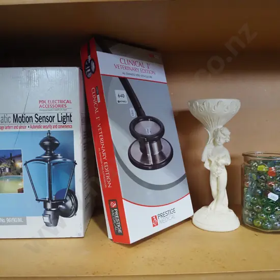 automatic outdoor sensor light, vet stethoscope, comport, jar of marbles