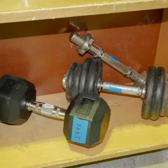 hand held dumbells