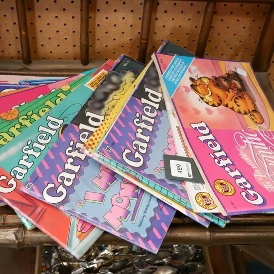 Garfield books